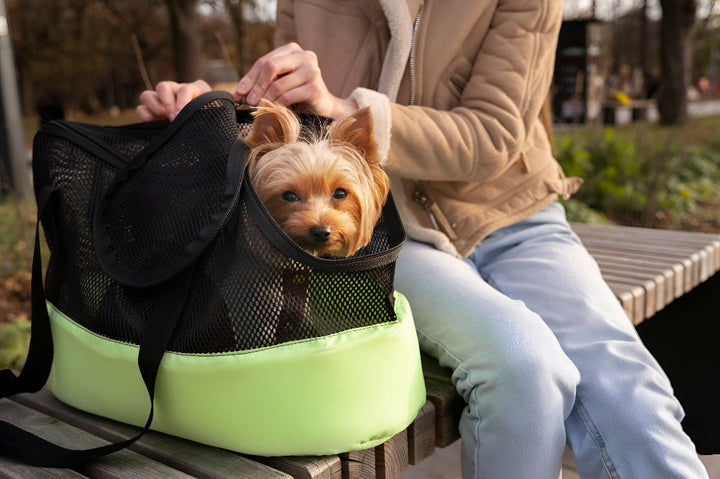Making Every Pet Journey Safe And Comfortable
